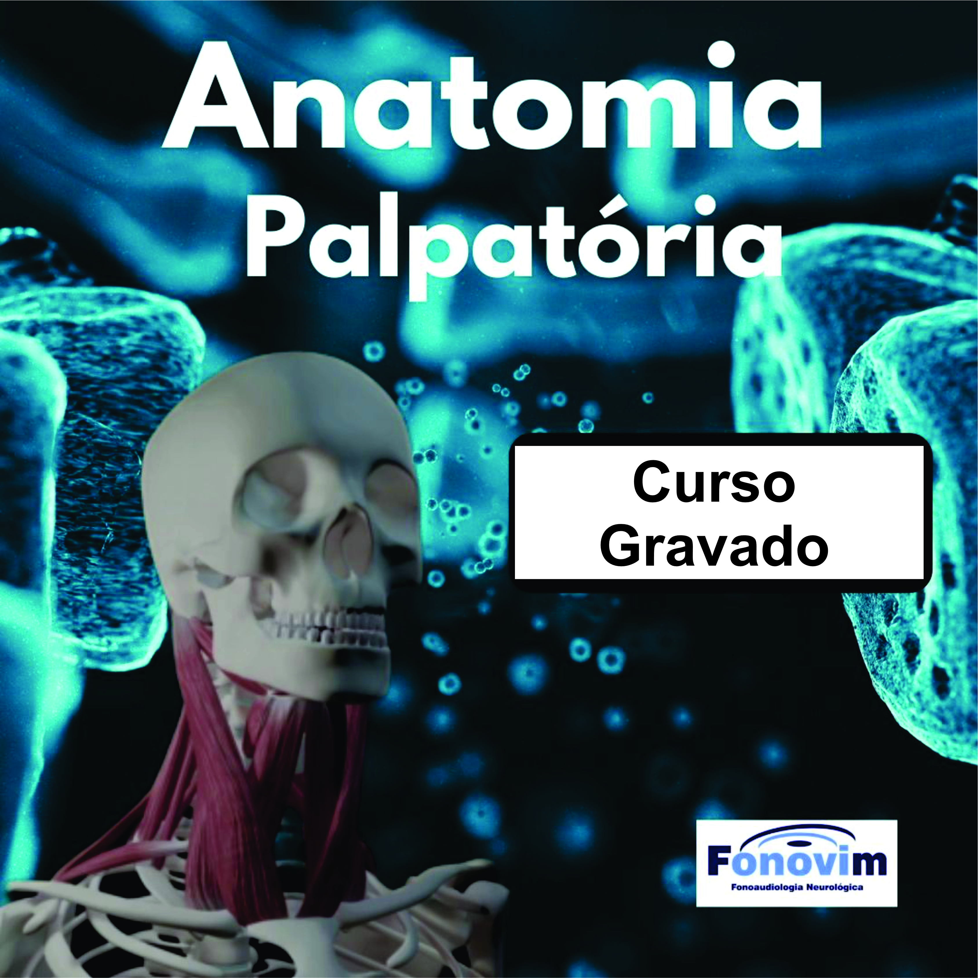 Banner do curso Anatomia Palpatória aplicada à Fonoaudiologia